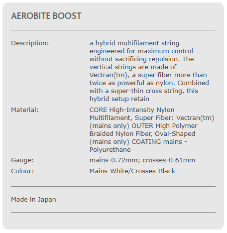aerobite_caracteristicas.PNG